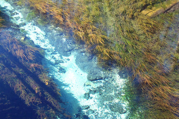 Product picture Manatee Springs, FL.