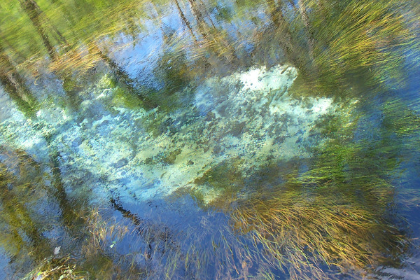 Product picture Manatee Springs, FL.