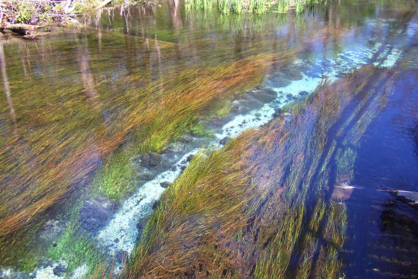 Product picture Springs