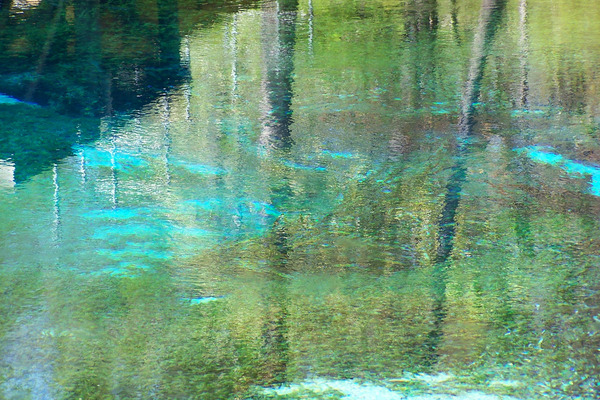 Product picture Manatee Springs, FL.