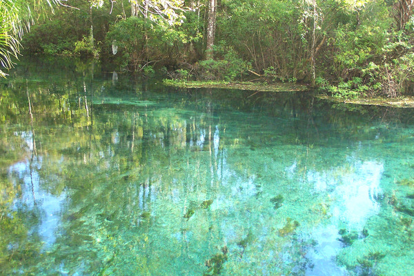 Product picture Manatee Springs, FL.