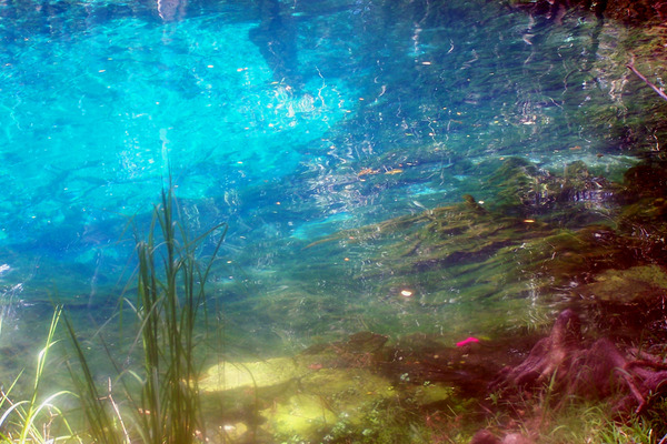 Product picture Little River Springs, FL.