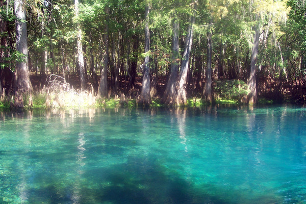 Product picture Little River Springs, FL.