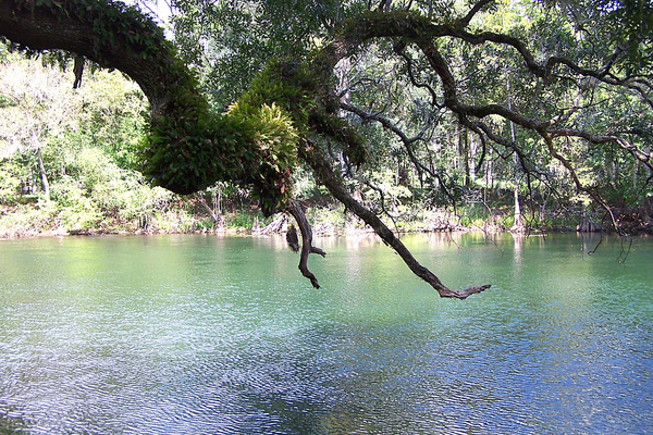 Product picture Santa Fe River, Fl.