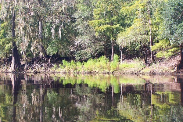 Product picture Suwannee River
